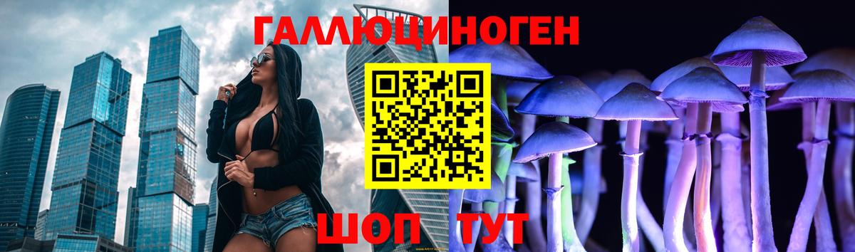 Киселёвск  Галлюциногенные грибы Psilocybe  Вход с VPN  Псилоцибиновые грибы GOLDEN TEACHER 